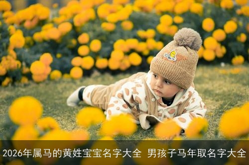 2026年属马的黄姓宝宝名字大全 男孩子马年取名字大全