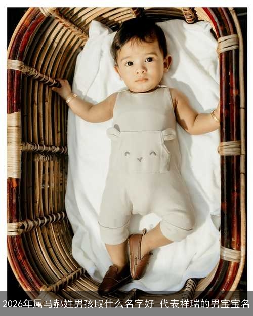 2026年属马郝姓男孩取什么名字好 代表祥瑞的男宝宝名