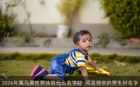 2026年属马黄姓男孩取什么名字好 风流倜傥的男生好名字