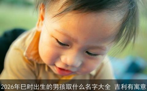 2026年巳时出生的男孩取什么名字大全 吉利有寓意