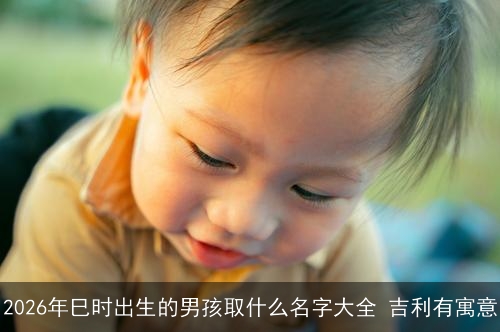 2026年巳时出生的男孩取什么名字大全 吉利有寓意