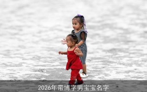 2026年带博字男宝宝名字