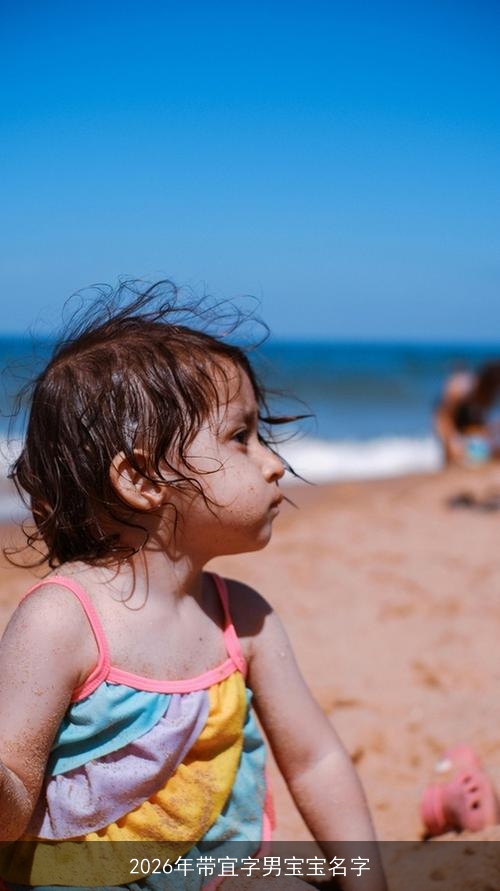 2026年带宜字男宝宝名字
