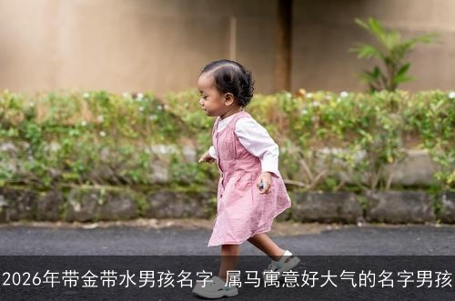 2026年带金带水男孩名字 属马寓意好大气的名字男孩