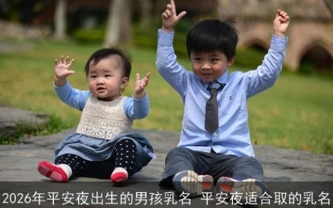 2026年平安夜出生的男孩乳名 平安夜适合取的乳名