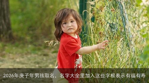 2026年庚子年男孩取名，名字大全里加入这些字根表示有福有寿