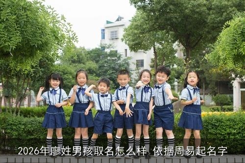 2026年廖姓男孩取名怎么样 依据周易起名字