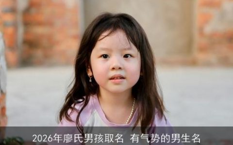2026年廖氏男孩取名 有气势的男生名
