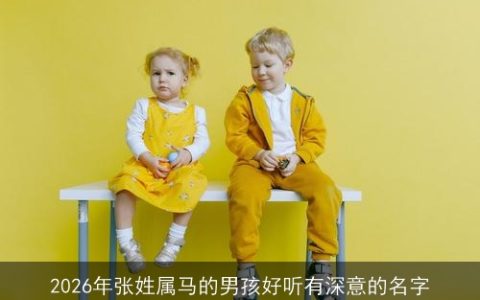 2026年张姓属马的男孩好听有深意的名字
