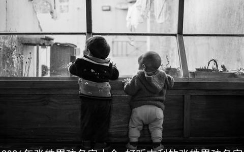 2026年张姓男孩名字大全 好听吉利的张姓男孩名字