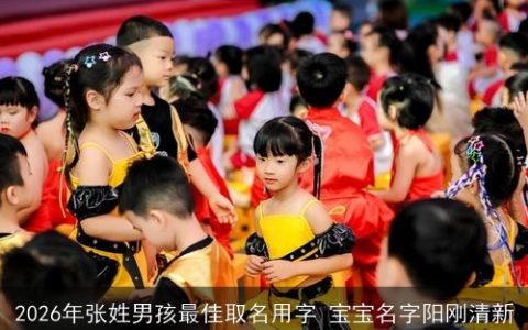 2026年张姓男孩最佳取名用字 宝宝名字阳刚清新