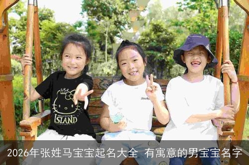 2026年张姓马宝宝起名大全 有寓意的男宝宝名字