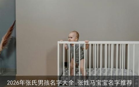 2026年张氏男孩名字大全 张姓马宝宝名字推荐
