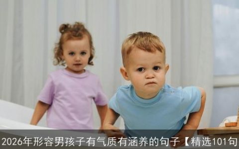 2026年形容男孩子有气质有涵养的句子【精选101句