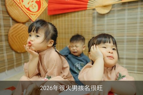 2026年很火男孩名很旺