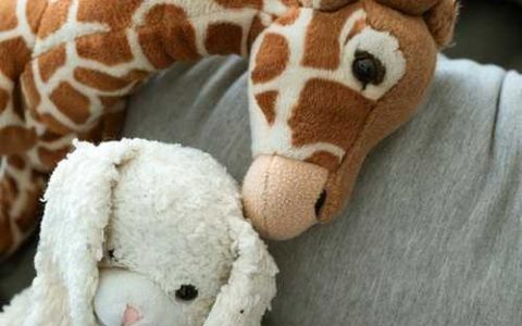 2026年感恩节出生的男孩名字 稀少好听有寓意