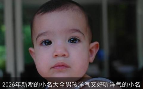 2026年新潮的小名大全男孩洋气又好听洋气的小名