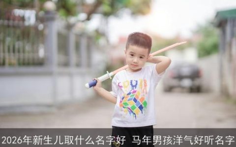 2026年新生儿取什么名字好 马年男孩洋气好听名字
