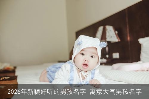 2026年新颖好听的男孩名字 寓意大气男孩名字