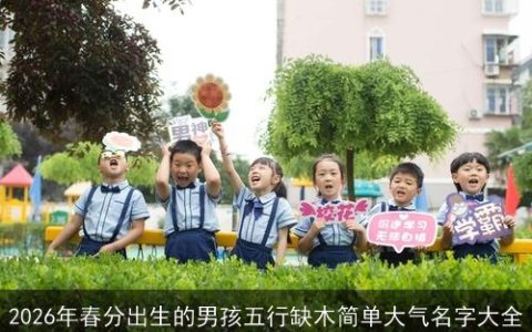 2026年春分出生的男孩五行缺木简单大气名字大全