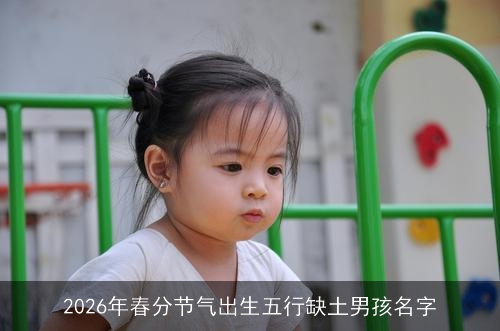 2026年春分节气出生五行缺土男孩名字