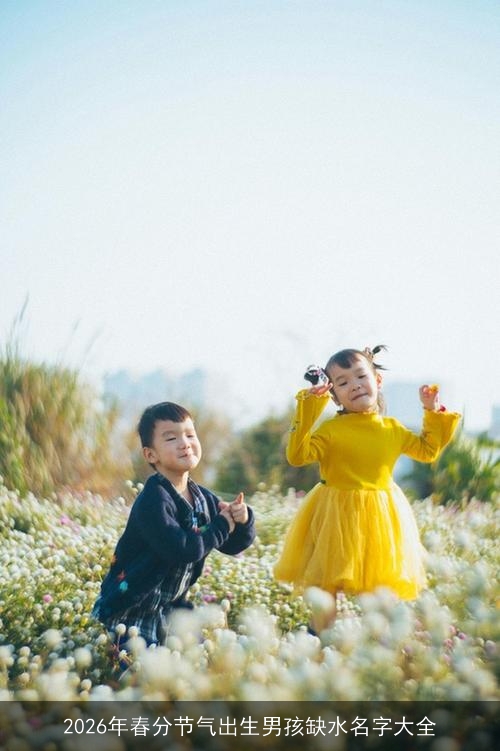 2026年春分节气出生男孩缺水名字大全