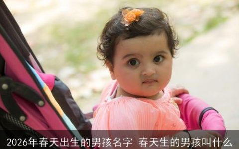 2026年春天出生的男孩名字 春天生的男孩叫什么
