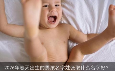 2026年春天出生的男孩名字姓张取什么名字好？