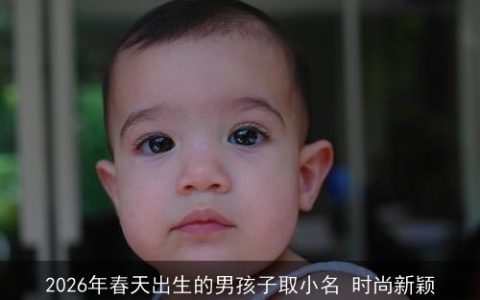 2026年春天出生的男孩子取小名 时尚新颖
