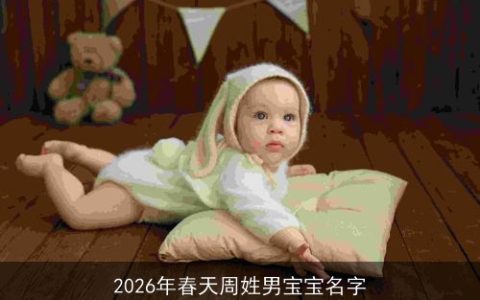 2026年春天周姓男宝宝名字