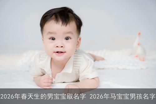 2026年春天生的男宝宝取名字 2026年马宝宝男孩名字