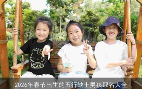 2026年春节出生的五行缺土男孩取名大全