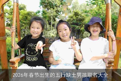 2026年春节出生的五行缺土男孩取名大全