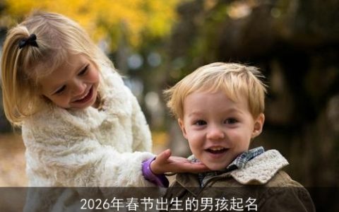 2026年春节出生的男孩起名