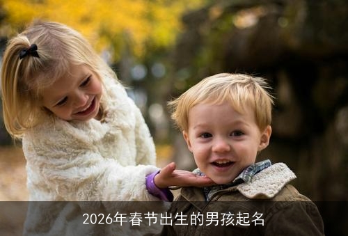 2026年春节出生的男孩起名