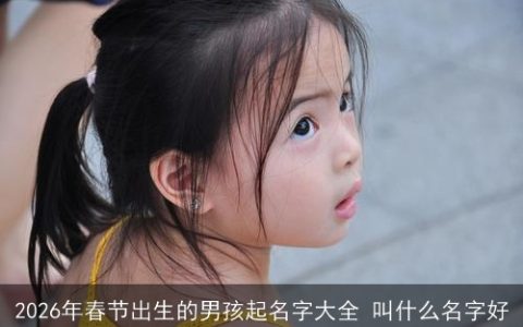 2026年春节出生的男孩起名字大全 叫什么名字好