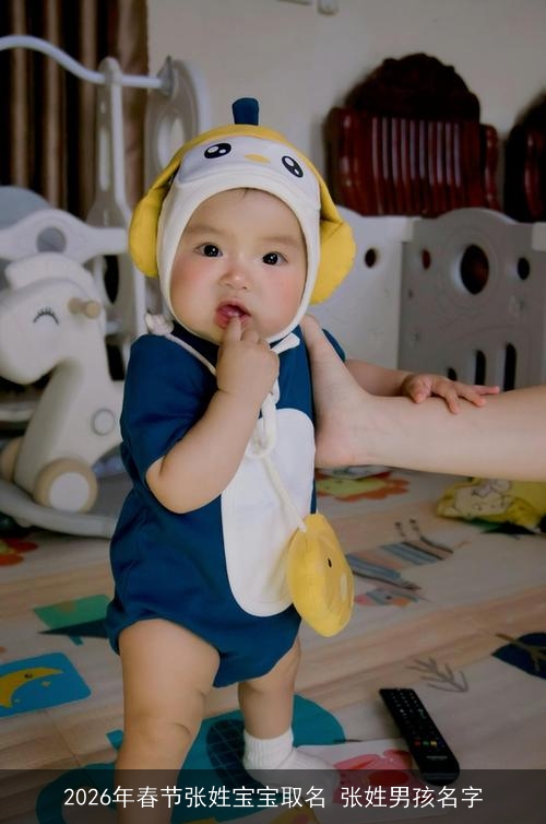 2026年春节张姓宝宝取名 张姓男孩名字