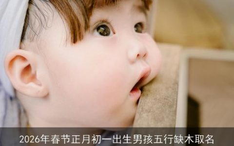 2026年春节正月初一出生男孩五行缺木取名