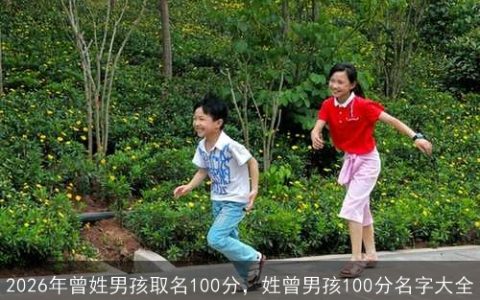 2026年曾姓男孩取名100分，姓曾男孩100分名字大全