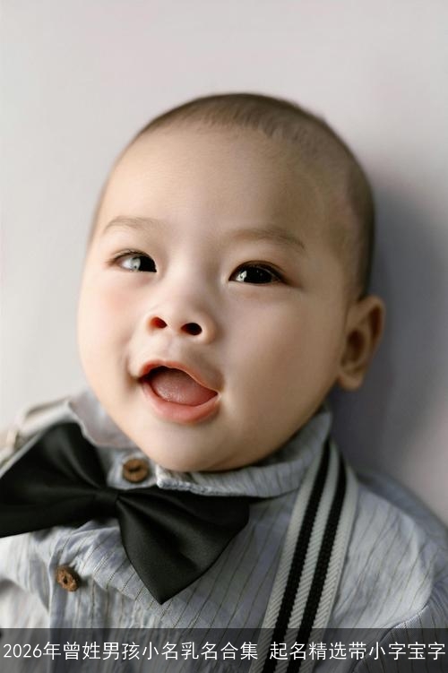 2026年曾姓男孩小名乳名合集 起名精选带小字宝字