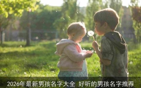 2026年最新男孩名字大全 好听的男孩名字推荐