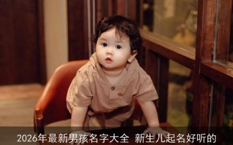 2026年最新男孩名字大全 新生儿起名好听的