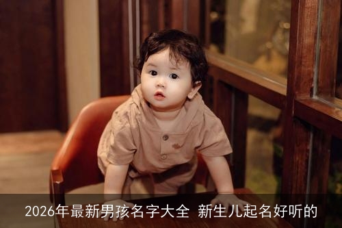 2026年最新男孩名字大全 新生儿起名好听的