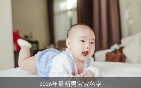 2026年最新男宝宝名字