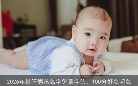 2026年最旺男孩名字兔草字头，100分好名起名