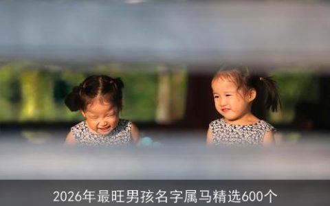 2026年最旺男孩名字属马精选600个