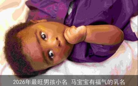 2026年最旺男孩小名 马宝宝有福气的乳名