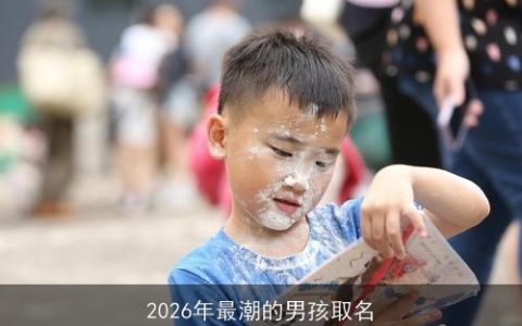 2026年最潮的男孩取名