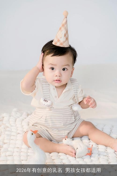 2026年有创意的乳名 男孩女孩都适用
