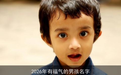 2026年有福气的男孩名字